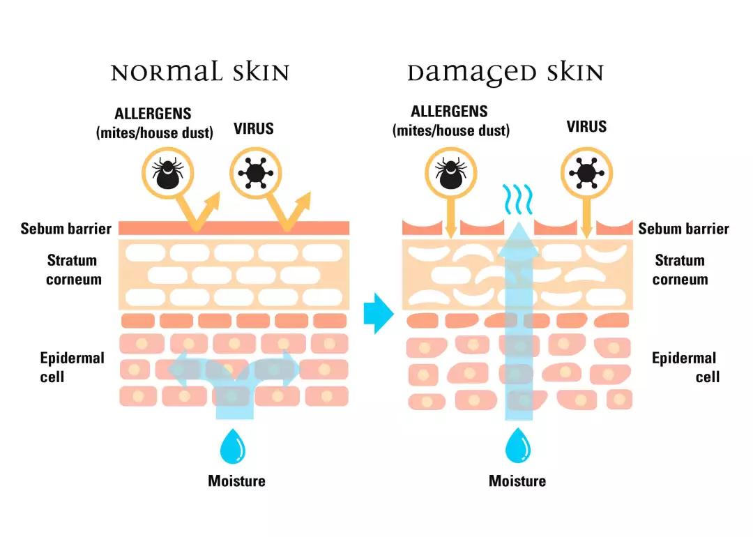 只选对的不选贵的表,怎样选择护肤品才是最正确的呢