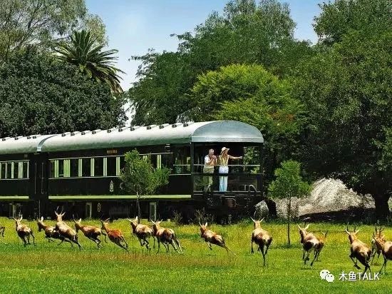 乘最奢华的火车，品不一样的非洲