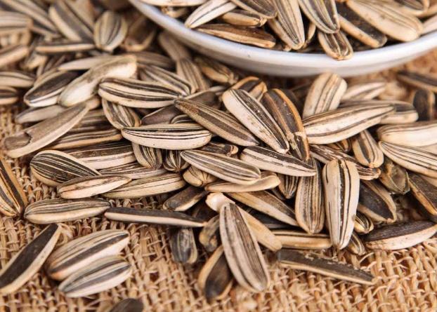 怎么验证瓜子里面有明矾,瓜子加明矾有毒吗