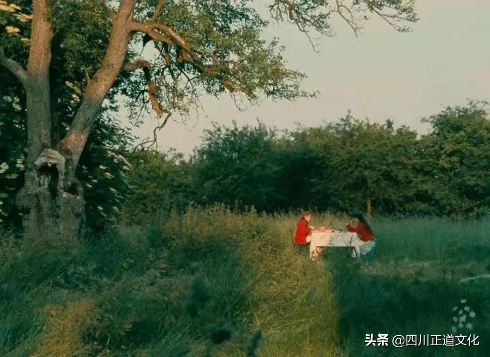 值得看的电影春天,春天的电影名字