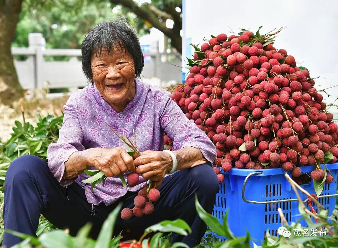 夏天的甜蜜延续到秋天,夏天的甜蜜甜在嘴里恋在心里