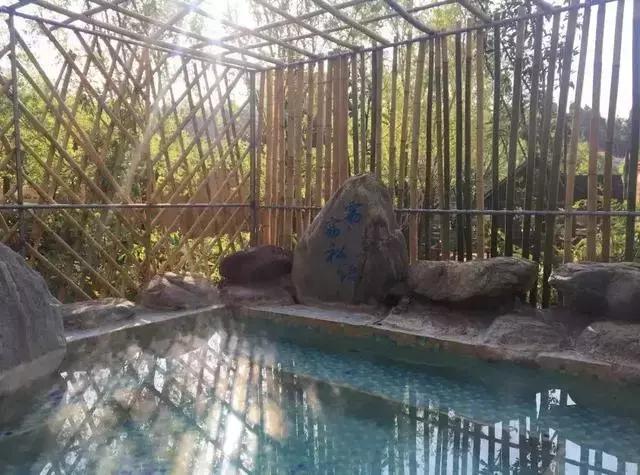 鏄嗘槑鏄熸渤娓╂硥灏忛晣,鏄嗘槑鏄熸渤娓╂硥灏忛晣鍦板潃