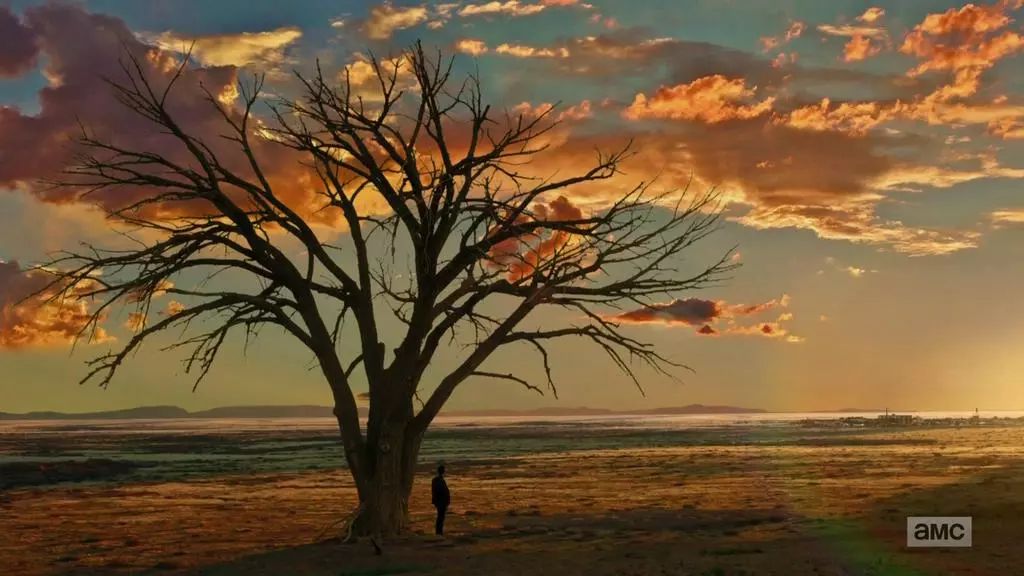 太过重口，连HBO都不敢拍，这部剧让人全程卧槽