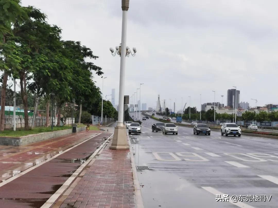 高埗镇的房价为啥这么高,高埗房价走势2021