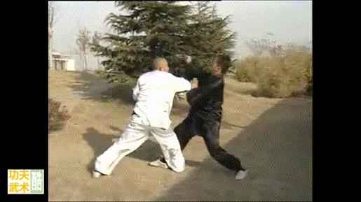 传武通背拳表演视频,传武散手完整教学