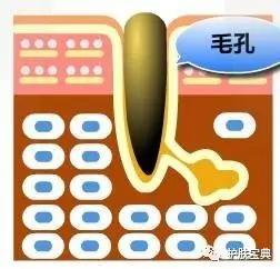 t区毛孔粗大怎么解决,鹤叔解决毛孔粗大