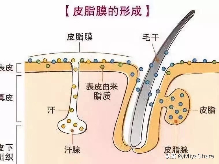 油皮干燥起皮怎么急救,油皮干痒脱皮泛红怎么改善