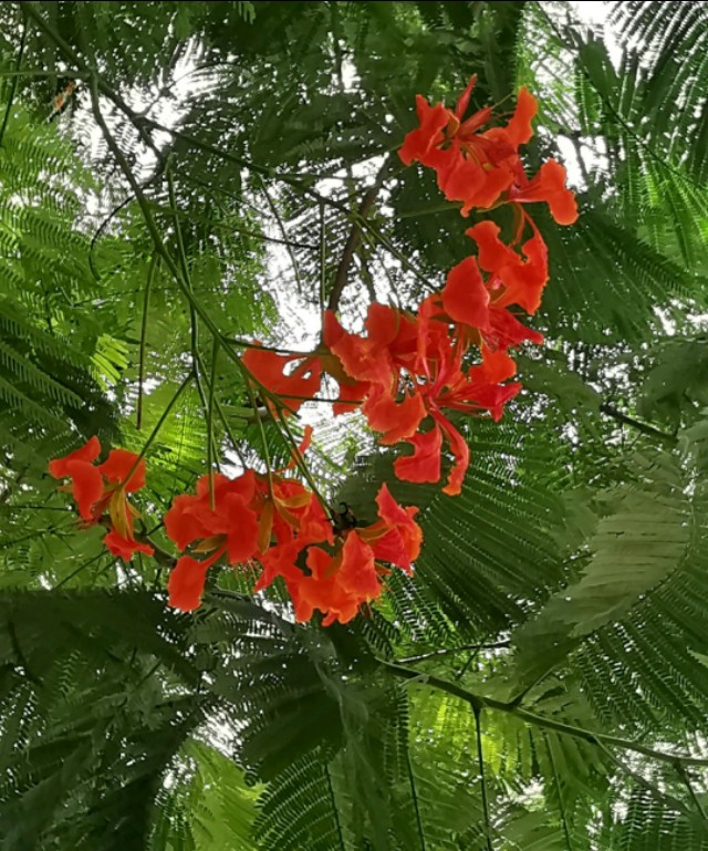 中国海岸线北端的起点,中国海岸线最南端东兴