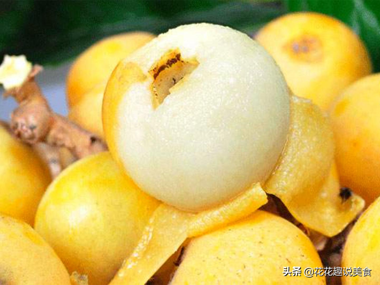 什么枇杷种类好吃,哪种枇杷好吃又大