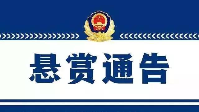 辽宁涉黑案线索征集,最高悬赏5万警方征集嫌疑人线索