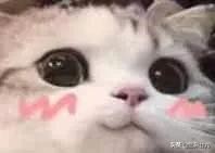 我家的年,我家的年味绘画