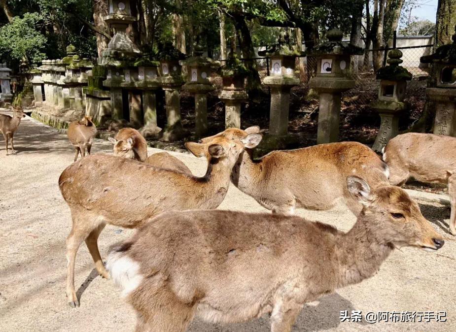 豆瓣9.1分看哭百万人,豆瓣评分9.0却很少有人看懂
