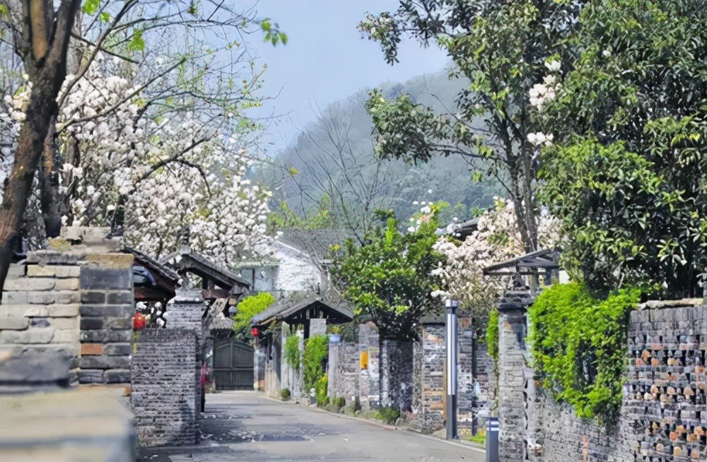 小镇房地产,小镇地产