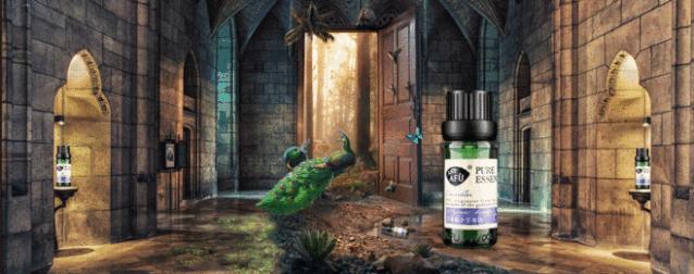 国货护肤品测评06,国货护肤好用商品品牌