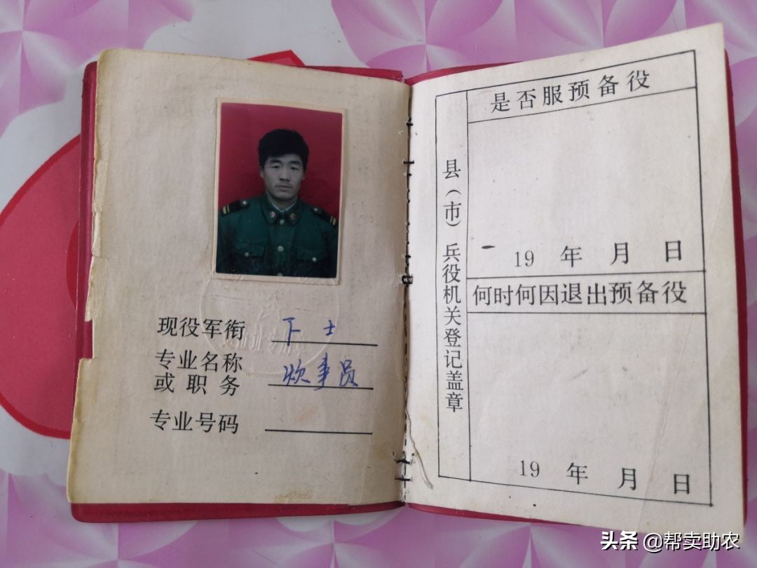 乾隆皇帝宠爱女人,乾隆皇帝独宠如意