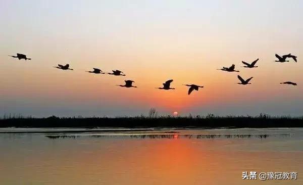 郑州黄河风景游览区五一免门票吗,107复线郑新黄河大桥收费吗