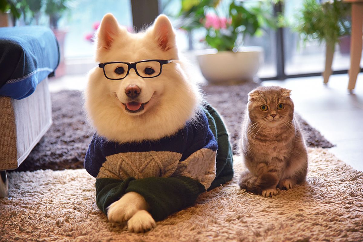 钱景无限好吗,钱景无限