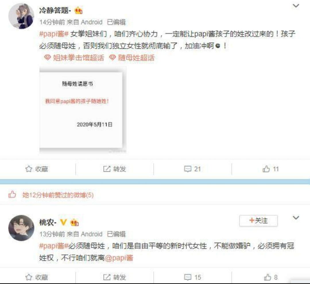 女权与田园式女权,田园女权传统女权