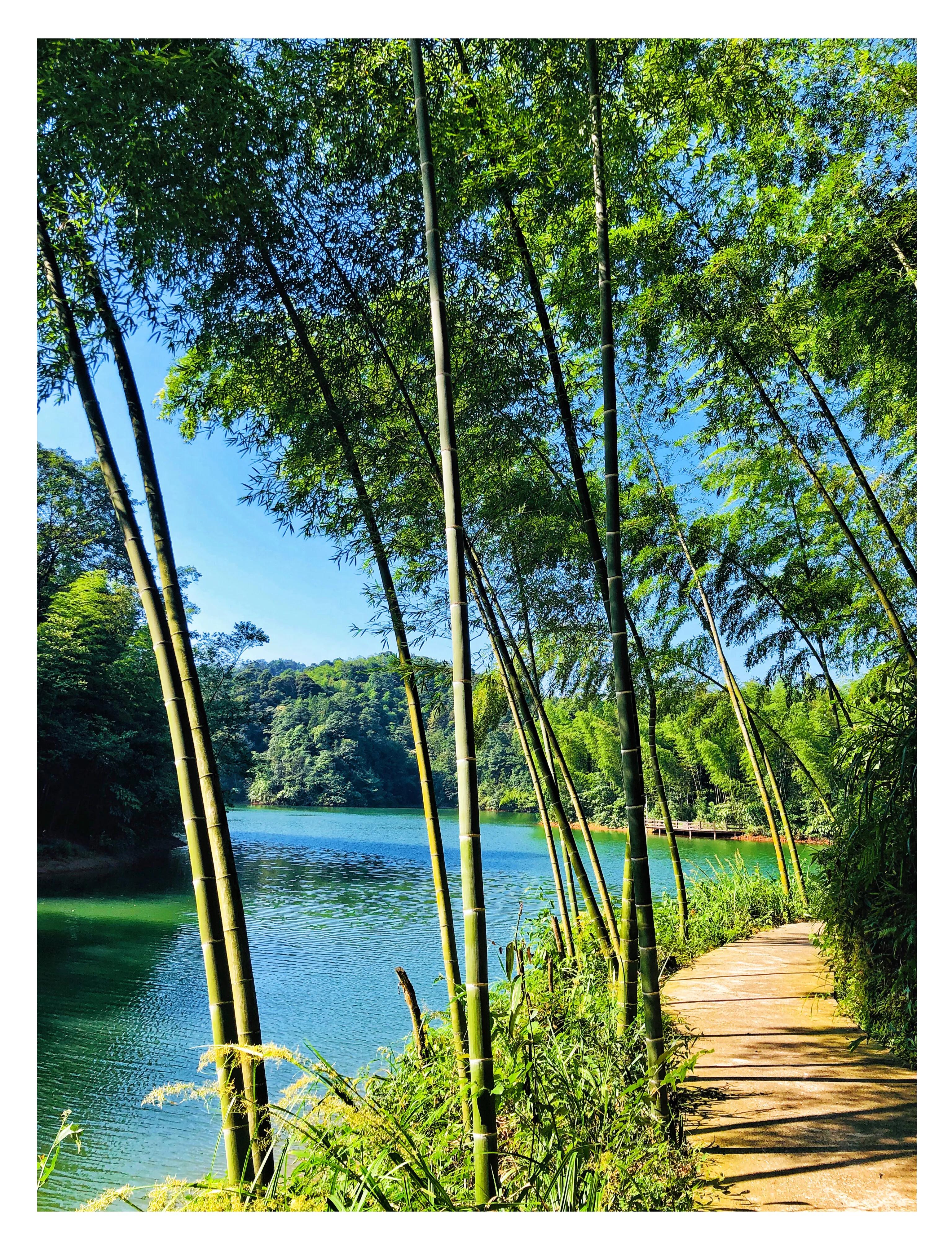 天屿湖适合避暑吗,天岛湖避暑旅游