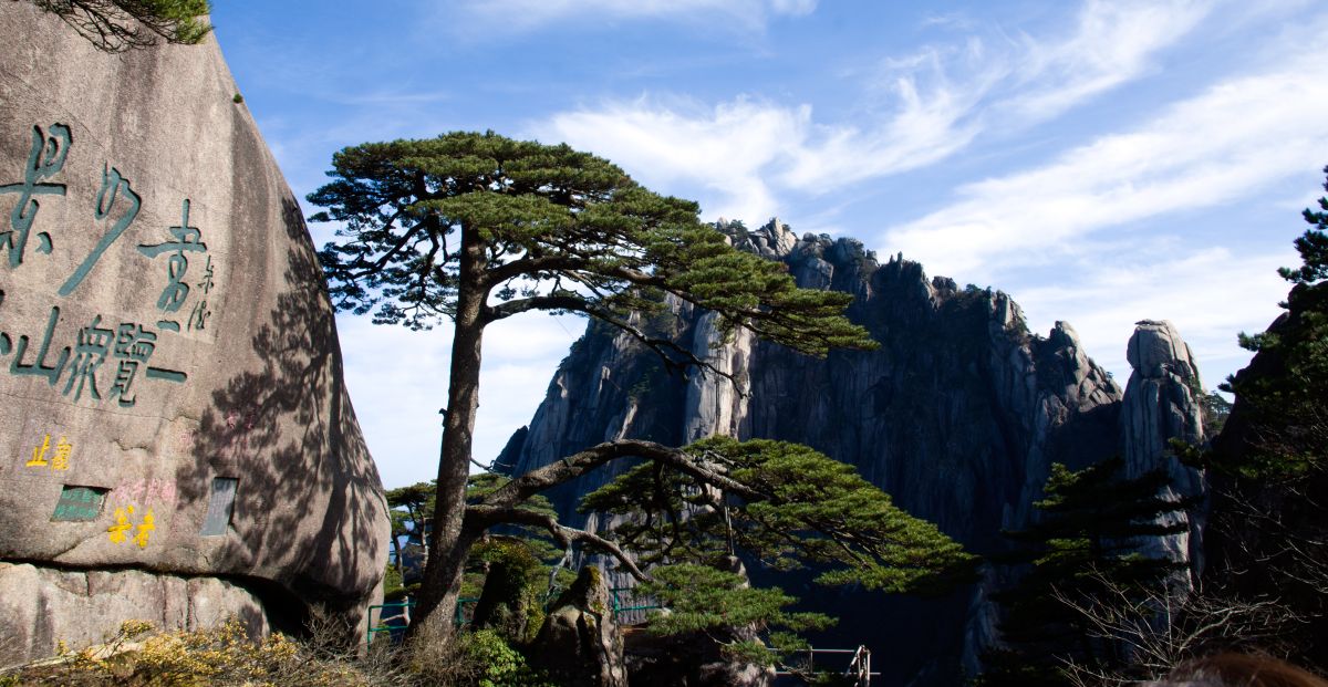 尼康d700怎么拍视频教程,尼康d700带手柄效果如何