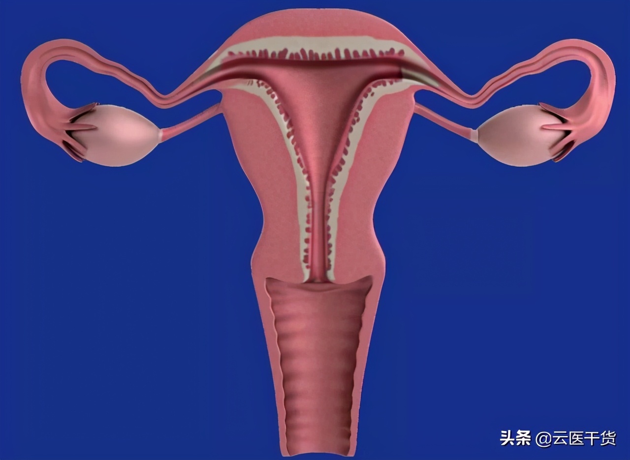 一来月经肚子疼吃什么药,一来月经小肚子就很疼是怎么回事