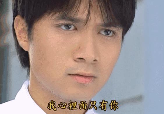 琼瑶剧的十大男性哪位最帅,前十位琼瑶剧男明星中分别都有谁