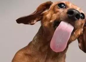 王校长送rookie火箭,rookie王校长视频