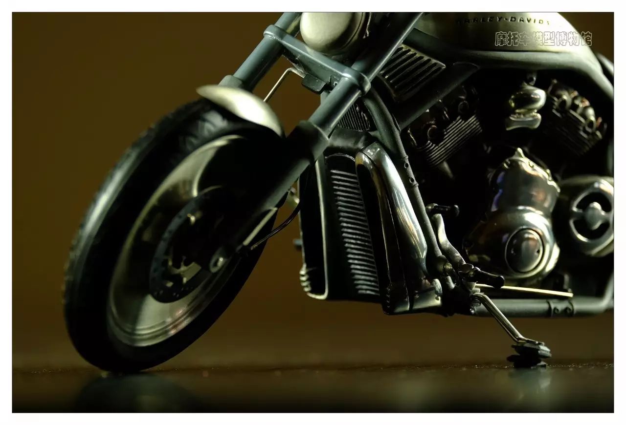 一枚小生,一枚小鲜肉视频