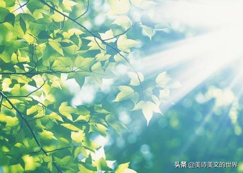 席慕容最美的十首情诗视频,席慕容经典诗句十首