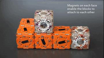 MIT的「方块」成精了:蹦跳自旋后空翻,还能自己组队的「*子骰**」