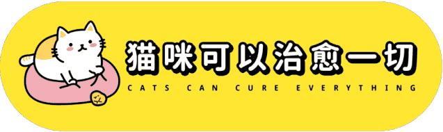 小卖部老板养了一只招财猫,店老板养的猫咪