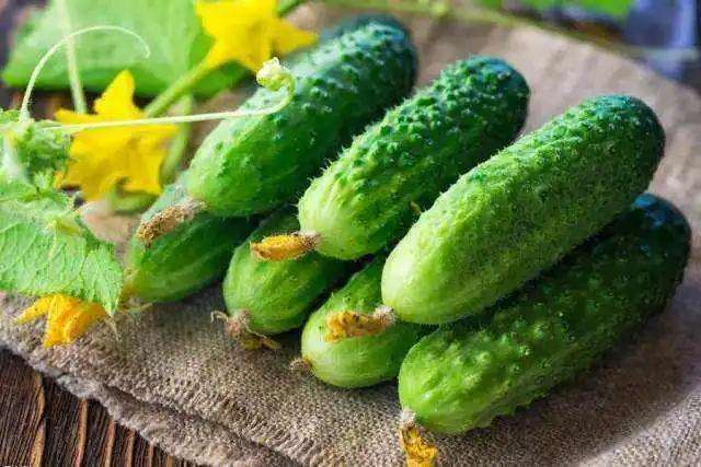 新鲜黄瓜吃不完的该怎么办,黄瓜吃不完怎样才能保存住