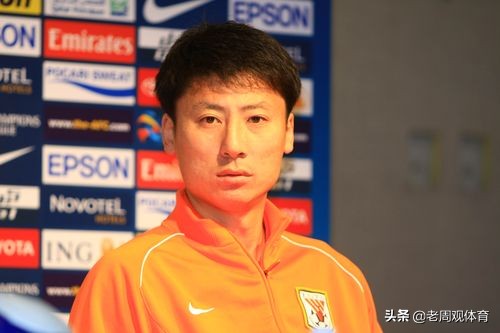 山东鲁能2010年主力球员,2006年鲁能提前几轮夺冠