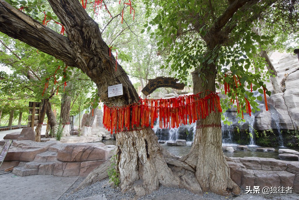 新疆吐鲁番葡萄沟葡萄视频,吐鲁番葡萄沟的葡萄