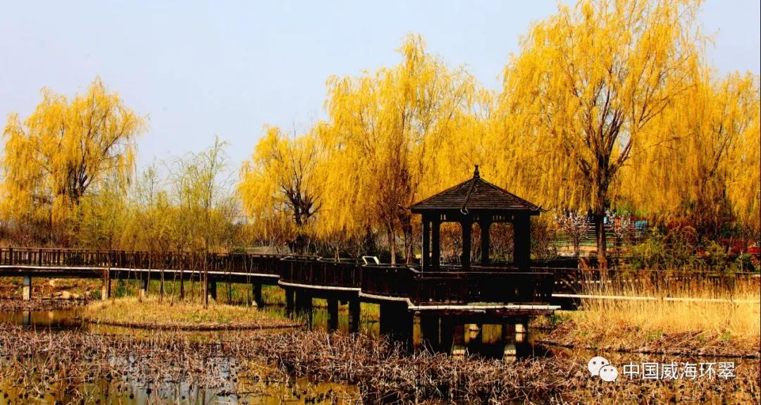 环翠景色,环翠美景