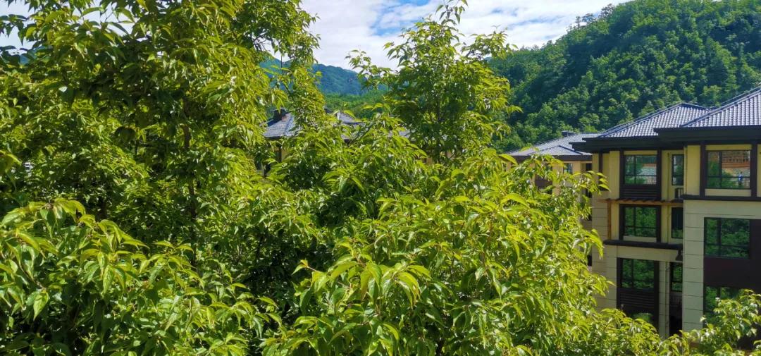 浩创匠心19载百万补贴惠客户19套补贴房限时抢购