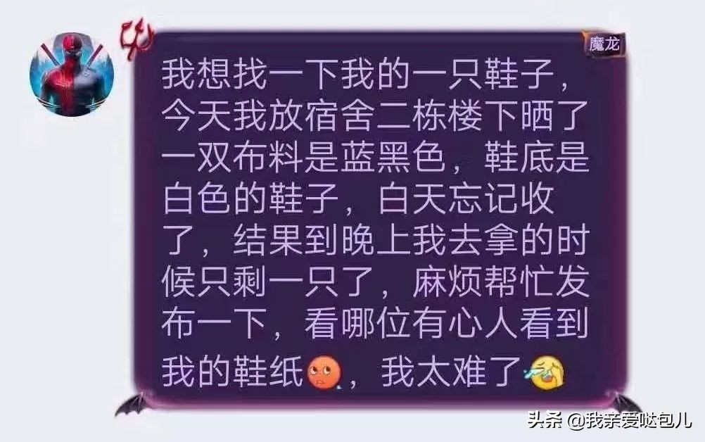 被全网通缉的狗,全网通缉的狗是谁