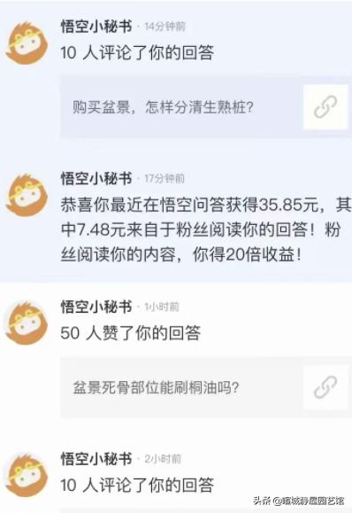 悟空问答怎么回答才能赚钱,悟空问答回答多少个问题才有收益