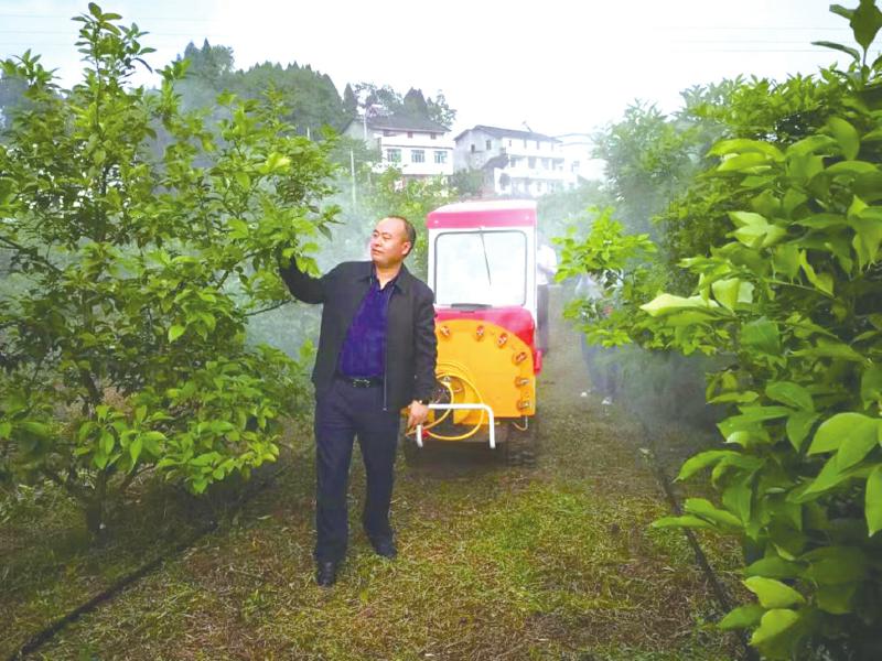 做强做大再创辉煌,做强做大新兴产业