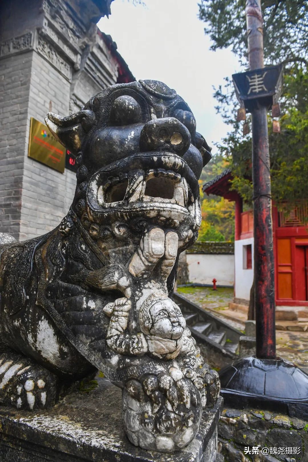 留坝秦岭之夜,留坝秦岭森林公园