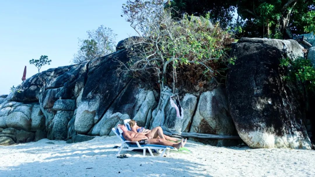 恋恋丽贝岛，人狗情未了|KohLipe