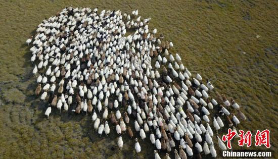 8点到9点摸高,8点多算高吗