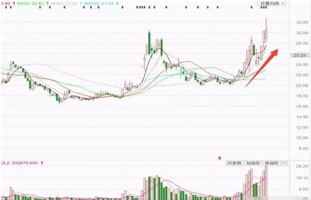 短线高手炒股养家,短线高手收益