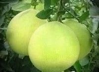 原创冬靴,原创冬帽