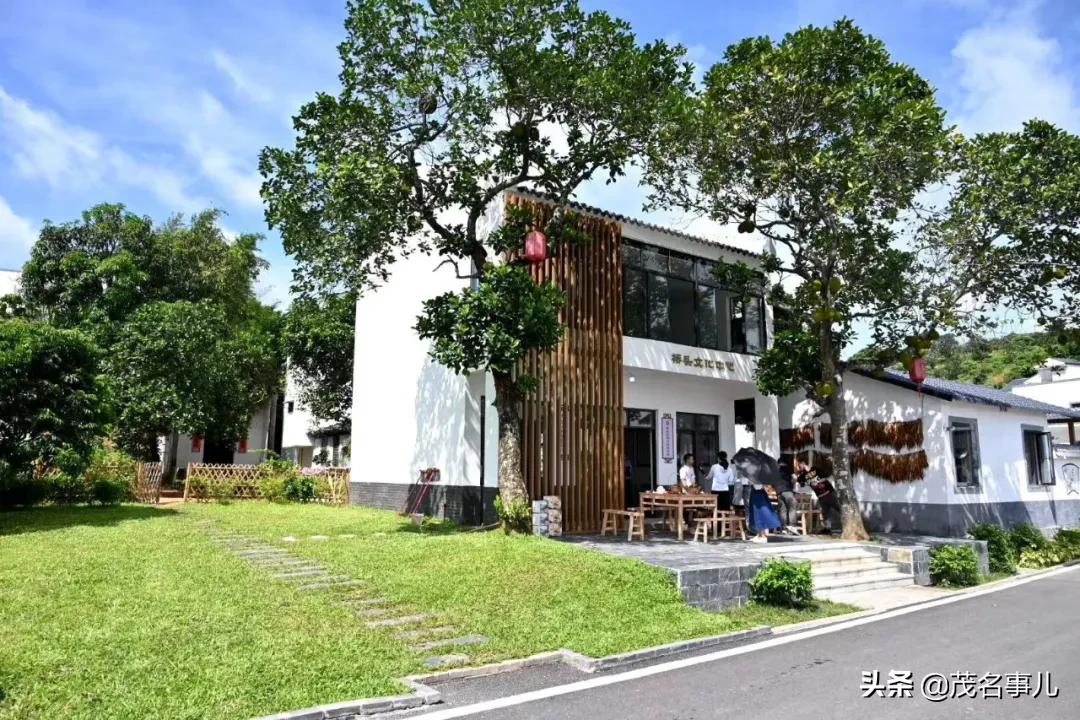 茂名十大美丽乡村电白,茂名电白乡村风光