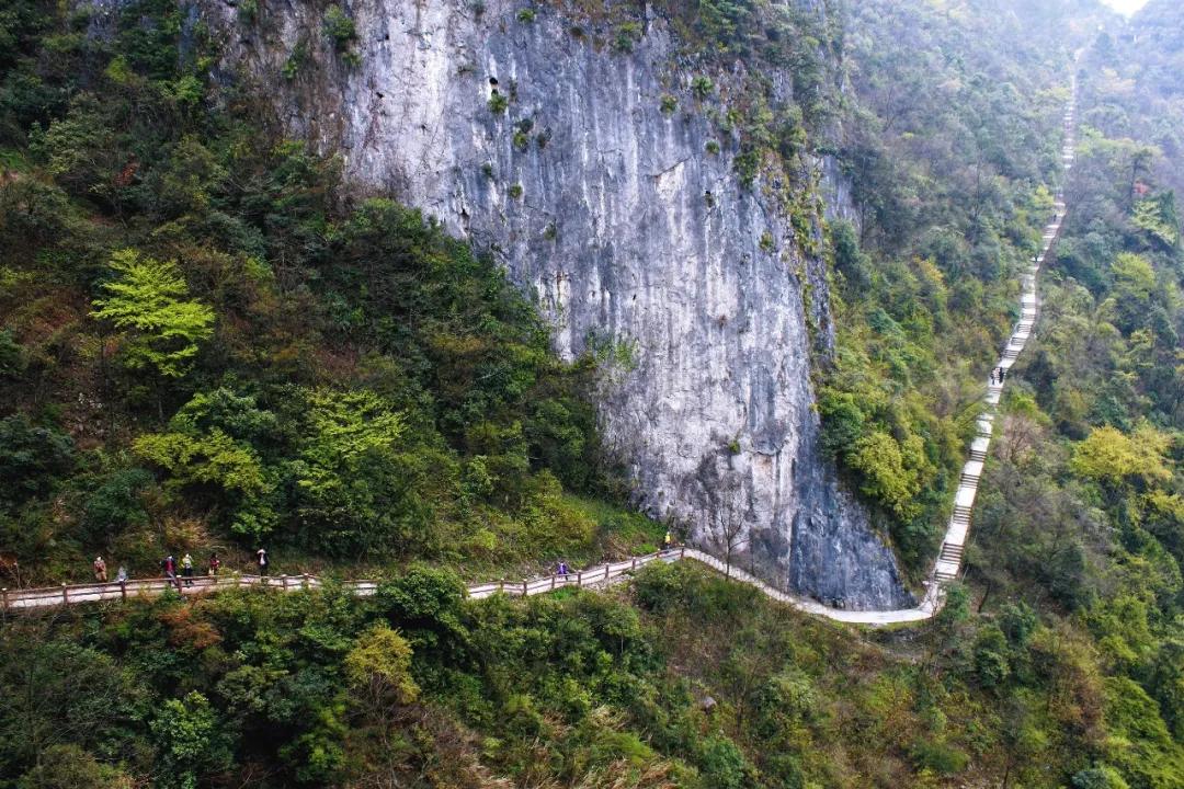 中国荔枝哪里好吃,哪个地方的荔枝最好吃最出名
