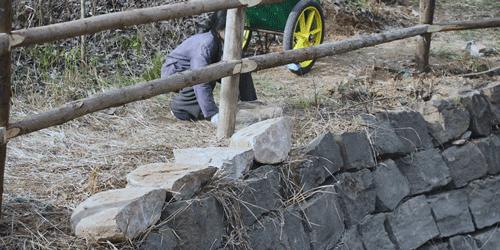 番茄锅酸甜番茄,超浓郁的番茄火锅吃一次就爱上了