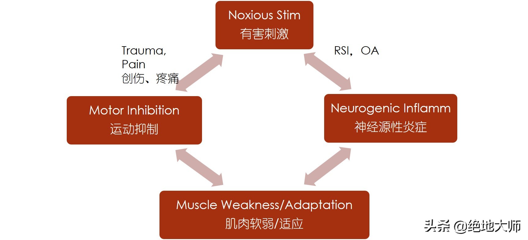 非创伤性膝关节疼痛的评估和神经调控康复治疗