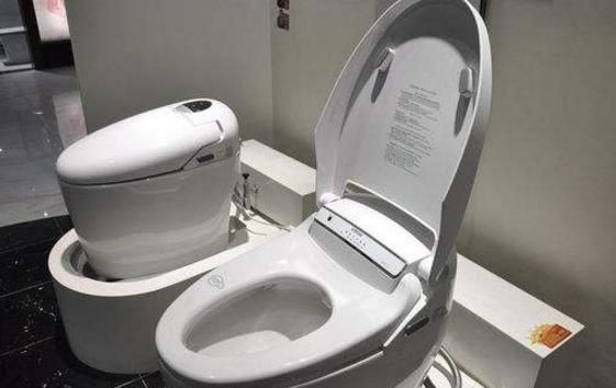 为什么都去日本买马桶盖,为什么中国人跑到日本买马桶盖