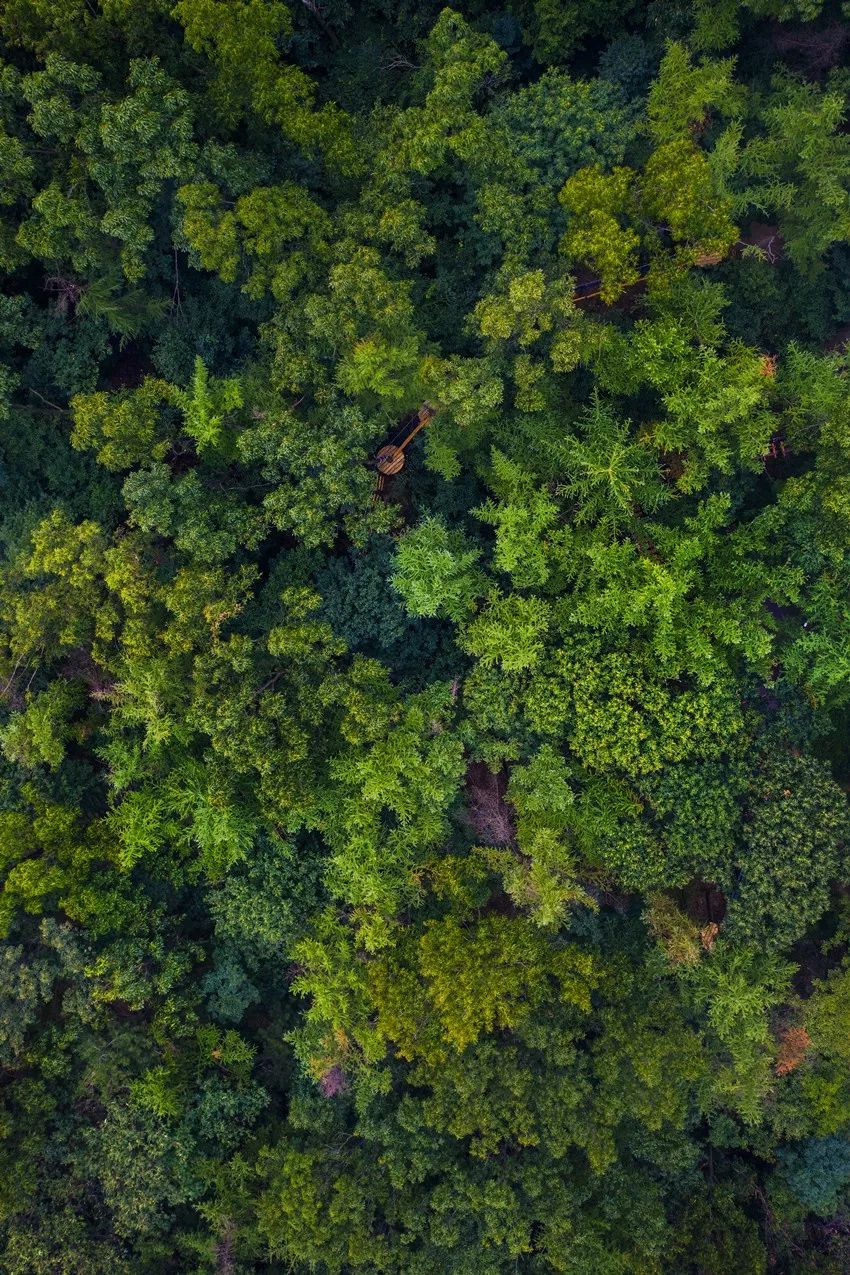这座透露着古韵之美的城市,这座城市里藏着很多好玩的秘密